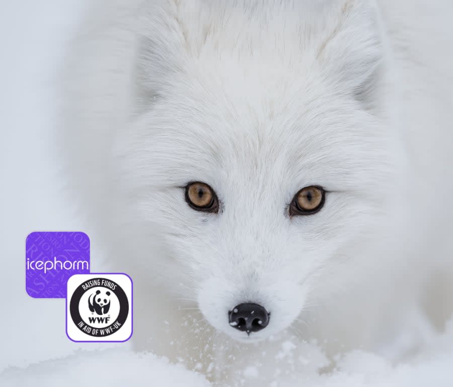 WWF:n tukeminen: Lue lisää