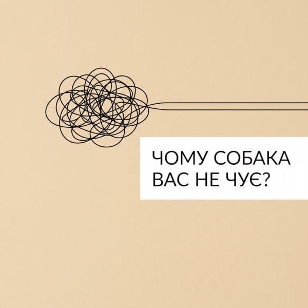 Чому собака вас не чує?