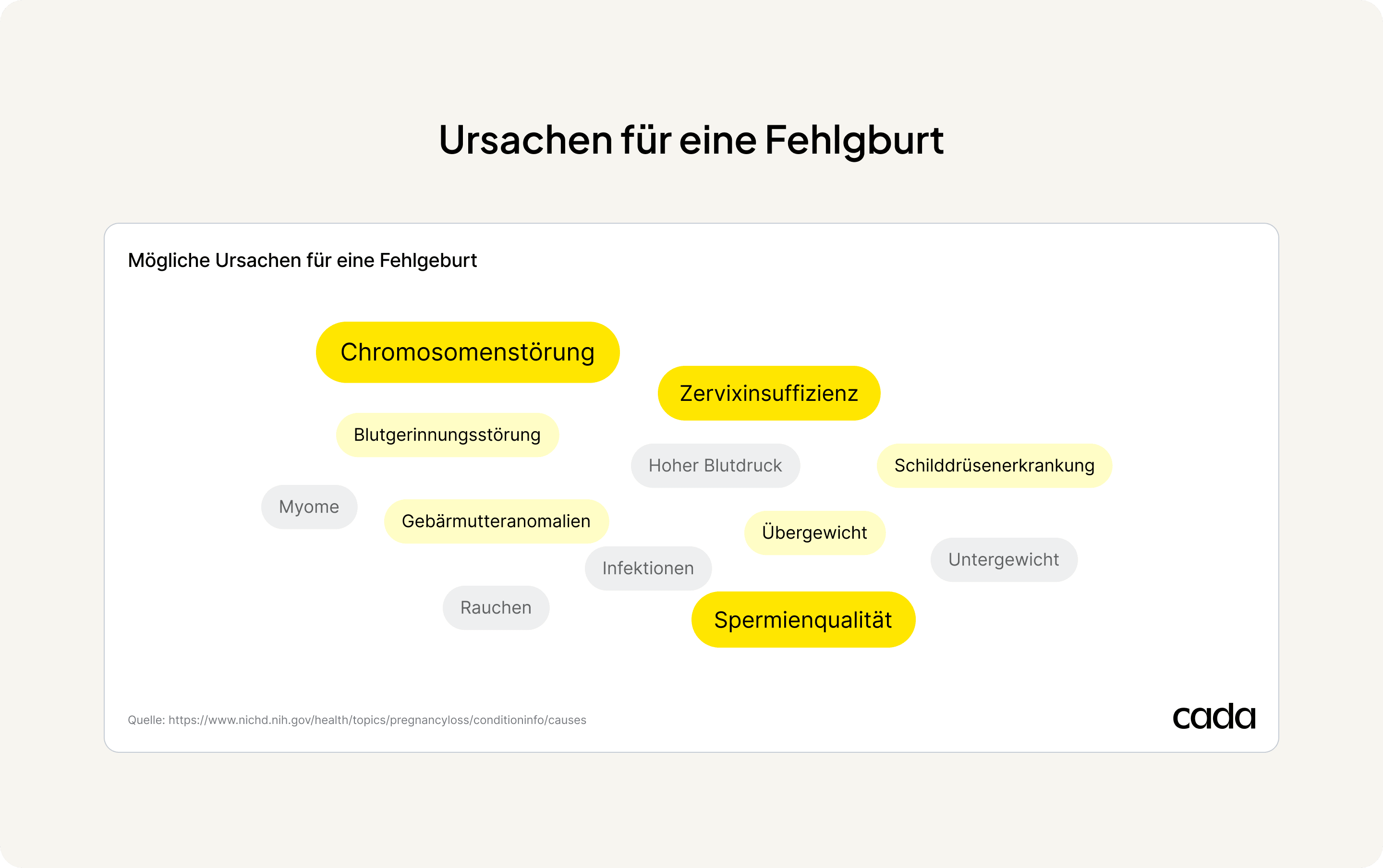 Ursachen Fehlgeburt frühe Fehlgeburt späte Fehlgeburt