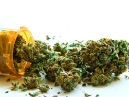 Dr  dieter jung cannabis verordung aktueller stand fotolia   atomazulawvikp