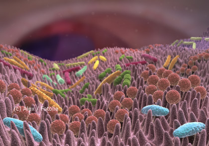 Eine mikroskopische Darstellung der Darmflora, die verschiedene Arten von Bakterien in hellen Farben zeigt, die auf den Darmzotten leben. Der Hintergrund ist unscharf.