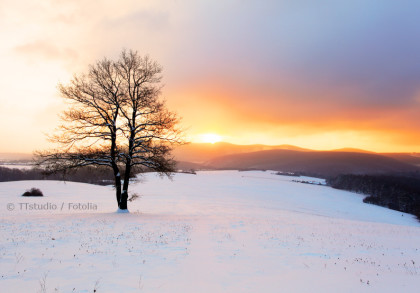 Ein einzelner, blattloser Baum steht in einer schneebedeckten Landschaft. Der Sonnenaufgang im Hintergrund taucht den Himmel in warme Orange- und Gelbtöne, während die Berge im Hintergrund sanft beleuchtet werden.