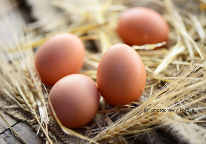 Vier braune Eier liegen auf Stroh. Im Hintergrund ist unscharf weiteres Stroh zu erkennen. Die Eier sind in Nahaufnahme und gut beleuchtet. Copyright-Hinweis "photocrew / Fotolia" ist im Bild integriert.