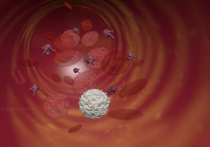 Illustration von Blutzellen in einem Blutgefäß. Zu sehen sind rote Blutkörperchen, weiße Blutkörperchen und Blutplättchen in einem strömenden Blutfluss in verschiedenen Größen und Formen. Der Hintergrund ist in einem rötlichen Farbton gehalten.