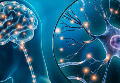 Illustration des menschlichen Gehirns und einer Nervenzelle mit elektrischen Impulsen. Darstellung der Signalübertragung im Nervensystem, wie sie bei neurologischen Erkrankungen wie CIDP gestört sein kann.