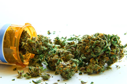 Eine orangefarbene Pillendose liegt auf der Seite und medizinisches Cannabis in Form von getrockneten grünen Blüten fällt heraus.
