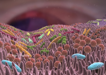 Eine mikroskopische Darstellung der Darmflora, die verschiedene Arten von Bakterien in hellen Farben zeigt, die auf den Darmzotten leben. Der Hintergrund ist unscharf.