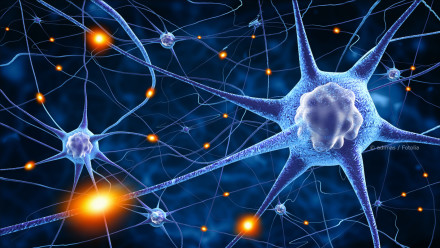 Eine Nahaufnahme von Neuronen im Gehirn. Die Neuronen haben lange, verzweigte Fortsätze, die miteinander vernetzt sind. Einige Synapsen leuchten orange, was auf eine aktive Signalübertragung hindeutet. Der Hintergrund ist dunkelblau.