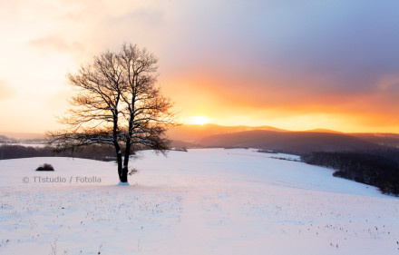 Ein einzelner, blattloser Baum steht in einer schneebedeckten Landschaft. Der Sonnenaufgang im Hintergrund taucht den Himmel in warme Orange- und Gelbtöne, während die Berge im Hintergrund sanft beleuchtet werden.