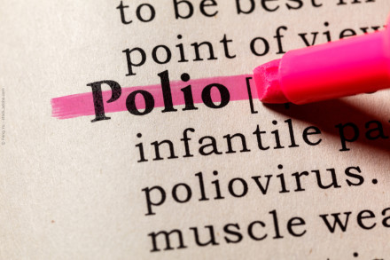 Nahaufnahme des Wortes "Polio" in einem Wörterbuch, das mit einem rosa Textmarker hervorgehoben wird.