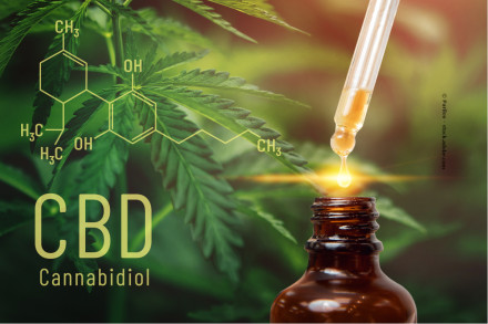 Eine Grafik von Cannabisblättern im Hintergrund, überlagert mit der chemischen Strukturformel von Cannabidiol (CBD). Im Vordergrund ist eine braune Flasche mit einer Pipette zu sehen, aus der ein Tropfen CBD-Öl heruntertropft.