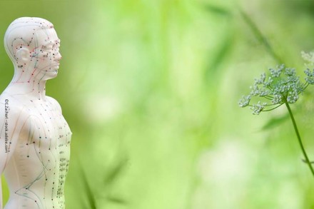 Eine Akupunkturmodellpuppe mit farbigen Linien & Punkten zur Darstellung der Akupunkturpunkte steht vor einem verschwommenen, grünen Hintergrund mit einer Blume auf der rechten Seite. Das Bild symbolisiert traditionelle chinesische Medizin und Akupunktur.