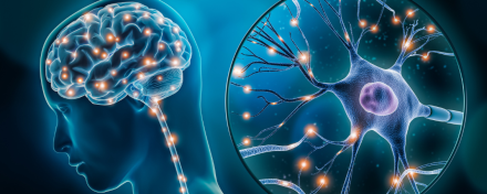 Illustration des menschlichen Gehirns und einer Nervenzelle mit elektrischen Impulsen. Darstellung der Signalübertragung im Nervensystem, wie sie bei neurologischen Erkrankungen wie CIDP gestört sein kann.