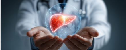 Medizinische Fachperson hält eine leuchtende digitale Darstellung der Leber in den Händen – Symbol für Lebergesundheit und natürliche Unterstützung der Leberfunktion.