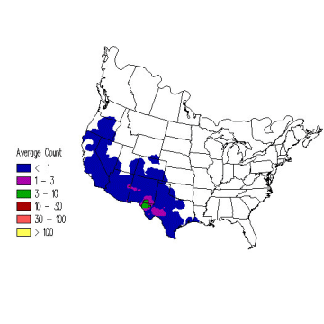 Sage Thrasher winter distribution map