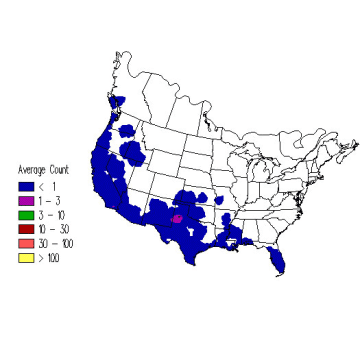 Burrowing Owl winter distribution map
