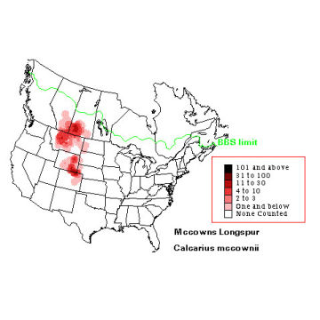 McCown's Longspur distribution map