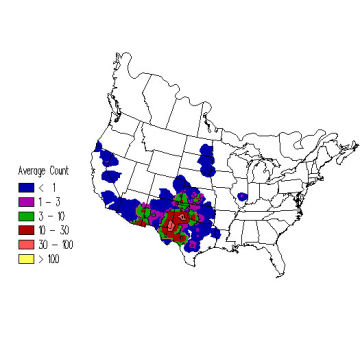 Chestnut-collared Longspur winter distribution map