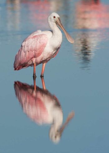 Circle B Bar Reserve, Lakeland, Florida