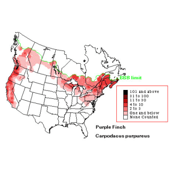 Purple Finch distribution map