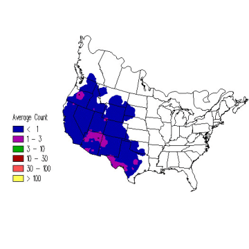 Canyon Wren winter distribution map
