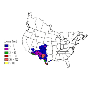 Chihuahuan Raven winter distribution map