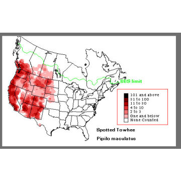 Spotted Towhee distribution map