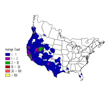 Cinnamon Teal winter distribution map