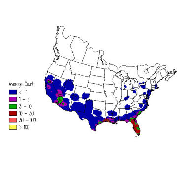 Common Moorhen winter distribution map