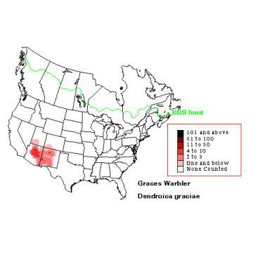 Grace's Warbler distribution map