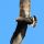 Zone-tailed Hawk