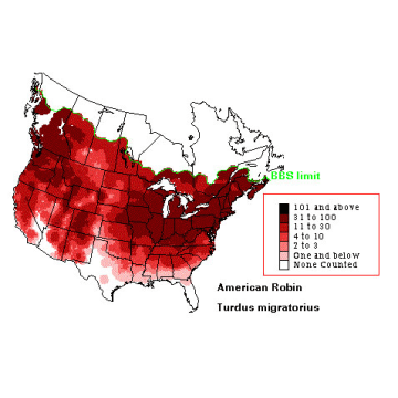 American Robin distribution map
