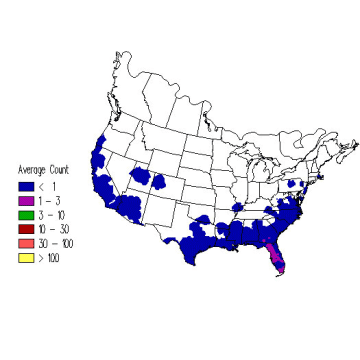 Black-and-white Warbler winter distribution map
