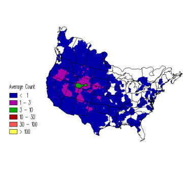 Golden Eagle winter distribution map