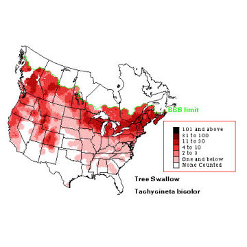 Tree Swallow distribution map