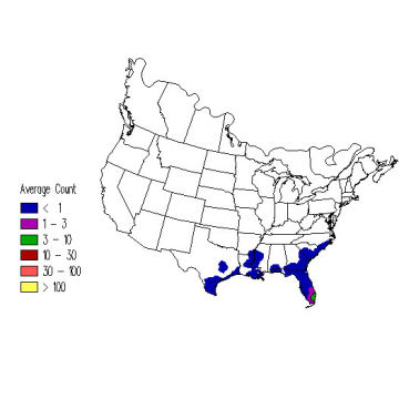 Painted Bunting winter distribution map