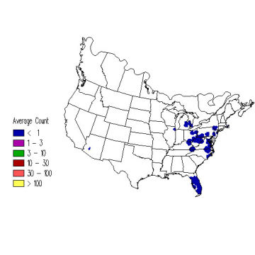 Cape May Warbler winter distribution map