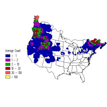 Barrow's Goldeneye winter distribution map