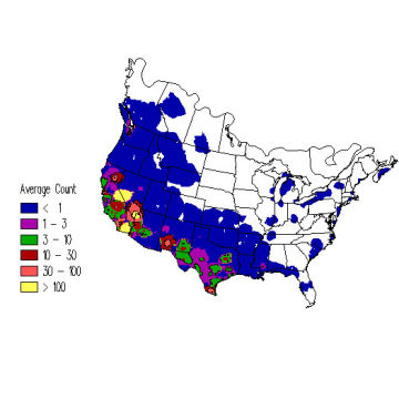 Eared Grebe winter distribution map