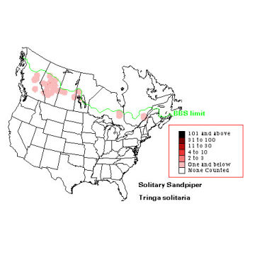 Solitary Sandpiper distribution map