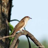 Crow Lake, Ontario, Canada - June 9, 2011