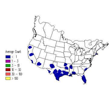 Solitary Sandpiper winter distribution map