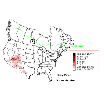 Gray Vireo distribution map