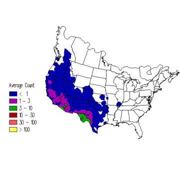 Rock Wren winter distribution map