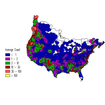 Bufflehead winter distribution map