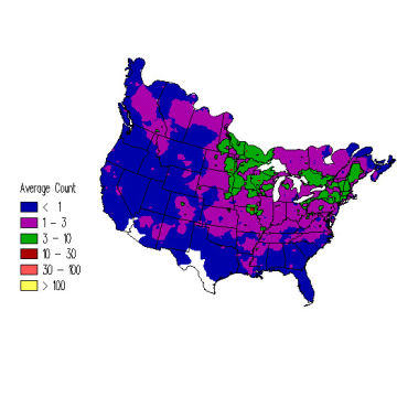 Hairy Woodpecker winter distribution map