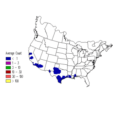 Wilson's Phalarope winter distribution map