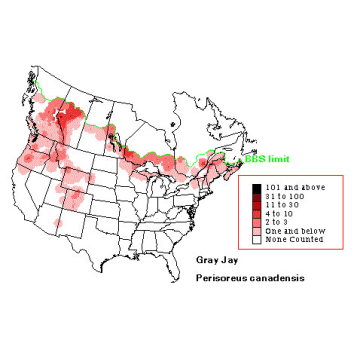 Gray Jay distribution map