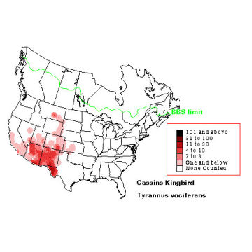 Cassin's Kingbird distribution map