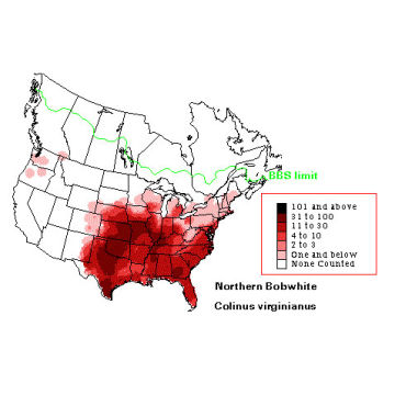 Northern Bobwhite distribution map